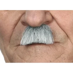 Bigote de Charlot gris