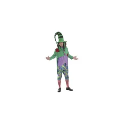 Disfraz de Duende Verde y Morado para hombre