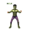 Disfraz de Hulk Clásico para niño