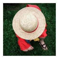 Sombrero de paja de Luffy One Piece